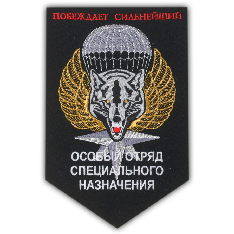 В/Ч 28337 г. Кубинка