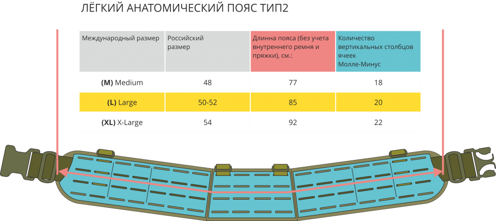 Пояс анатомический тип 2.png Пояс анатомический тип 2.png